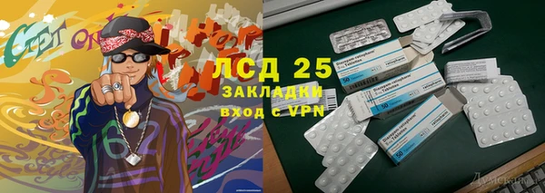 ГАЛЛЮЦИНОГЕННЫЕ ГРИБЫ Каменка